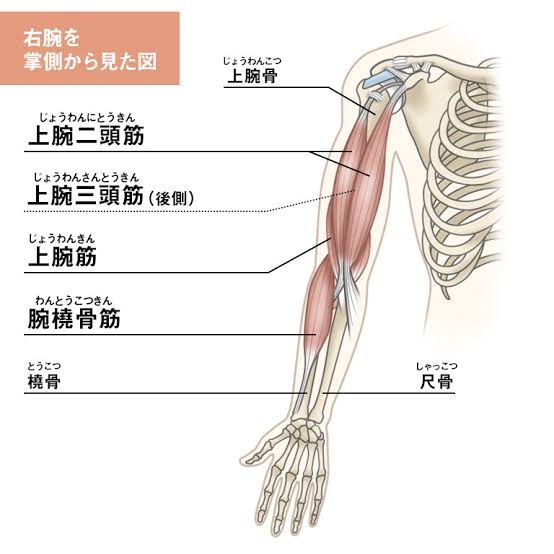 図解