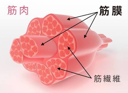 図解