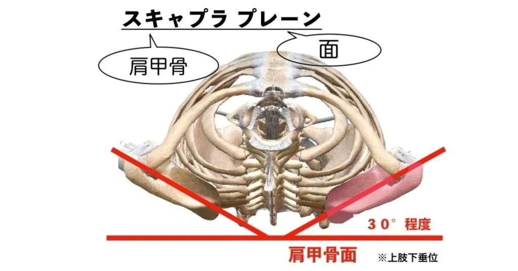 スキャプラプレーン