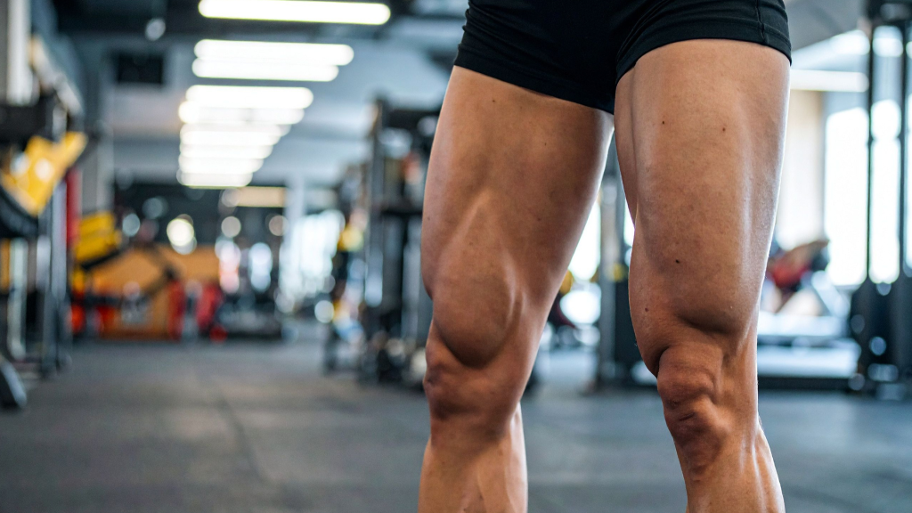 大腿四頭筋 トレーニング スクワット